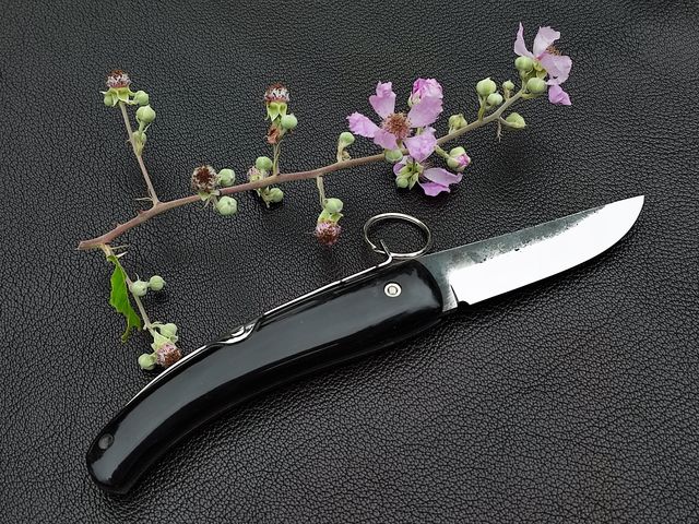 A beautiful big chef's knife made by - Blackberry forge