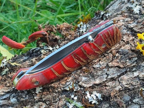 Citadel pocket knife