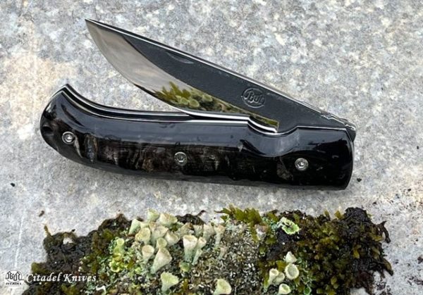 Citadel folder knife